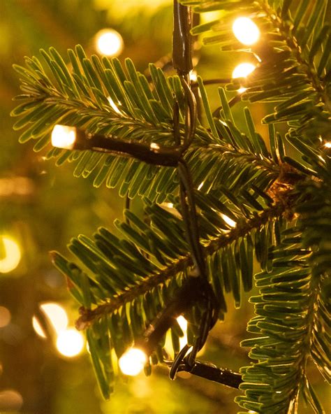 Christmas Tree Lights Very