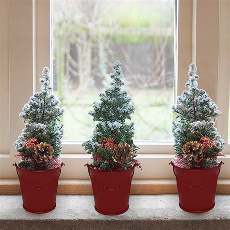 Christmas Tree Small Potted