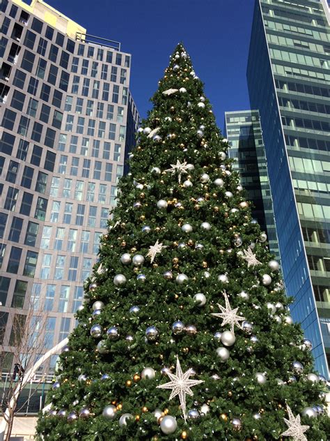 Christmas Tree Tysons Corner