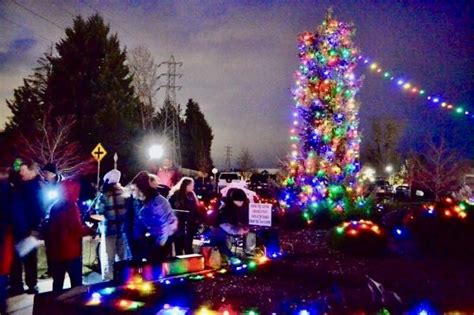 Christmas Trees Boring Oregon