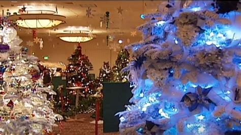 Christmas Trees Eugene