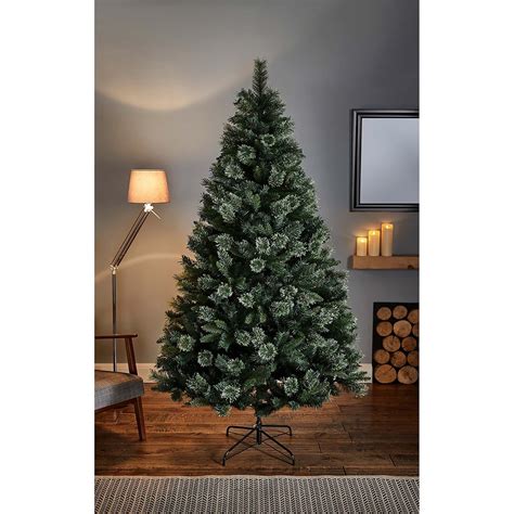 Christmas Trees From Homebase