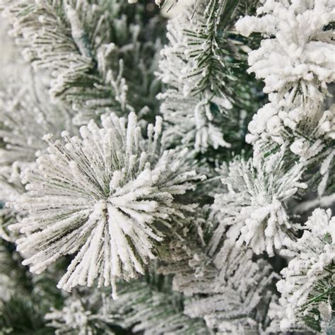 Christmas Trees Laurel De