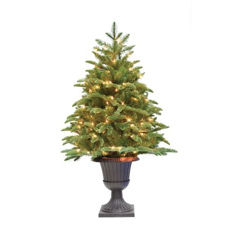 Christmas Trees Randolph