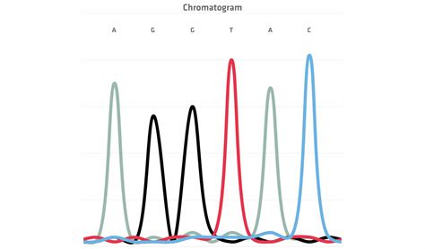 Chromatogram Sanger Sequencing