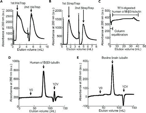 Chromatography Elution Profile