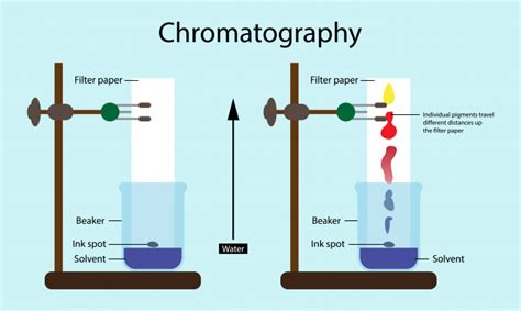 Chromatography Example Simple