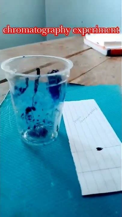 Chromatography Experiment Class 9