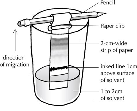 Chromatography Experiment Method