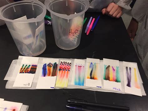 Chromatography Experiments