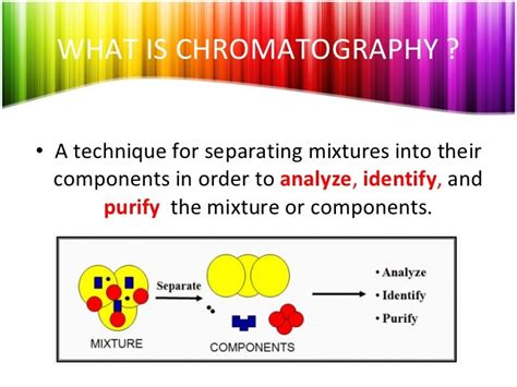 Chromatography Kid Definition Science