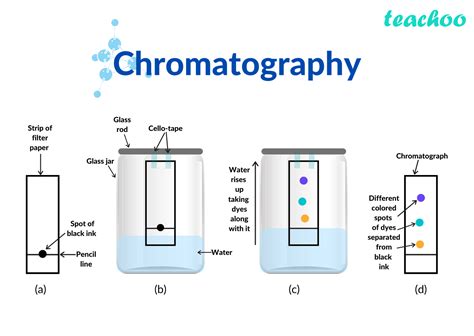 Chromatography Lesson Ks2