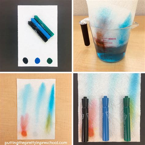 Chromatography Marker Experiment
