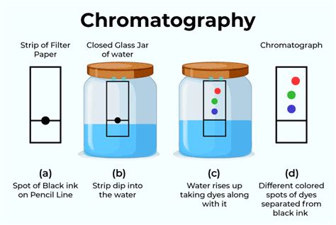 Chromatography Meaning Origin