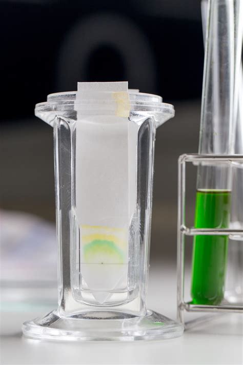 Chromatography Plates