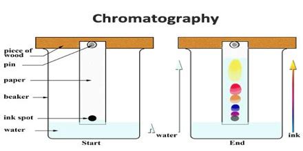 Chromatography Practical Examples