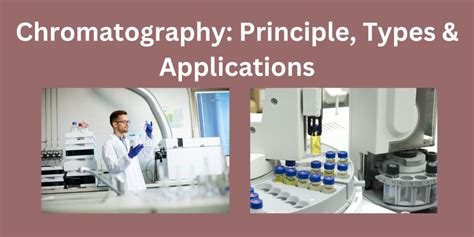 Chromatography Principle Types And Applications