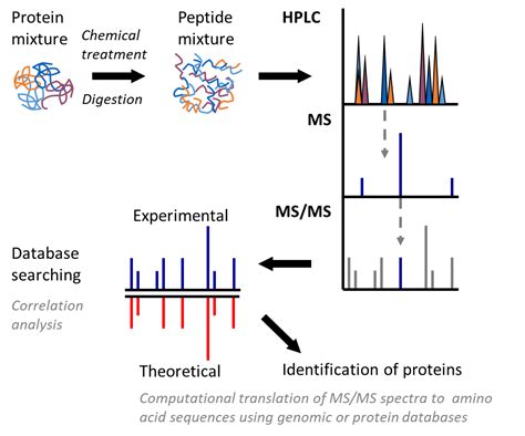 Chromatography Proteomic Analysis