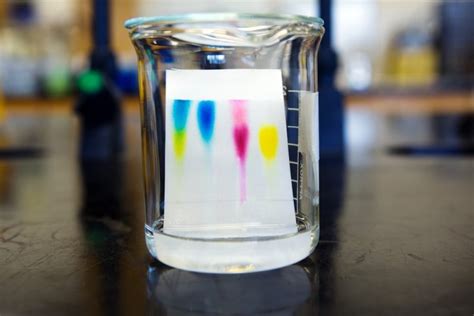 Chromatography With Example