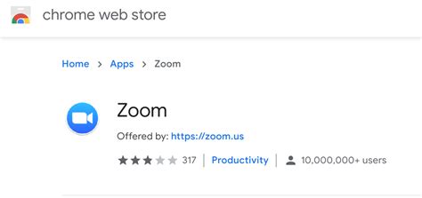 chrome web store zoom