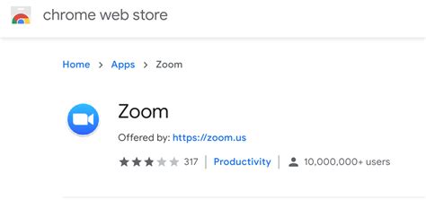chrome web store zoom app