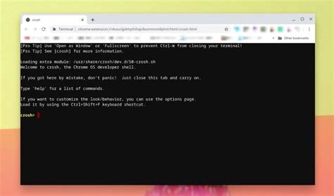 How to Use the Chromebook SSH Client