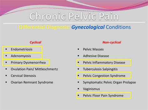 chronic pelvic pain differential diagnosis