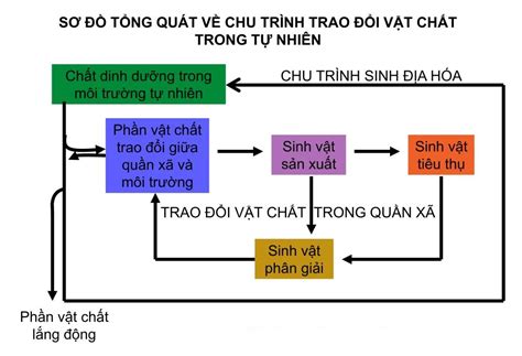 chu trinh trong do thi