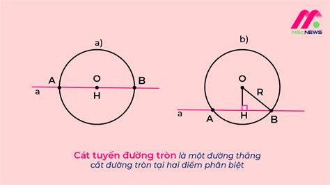 chu tuyến là gì