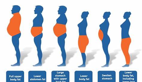 Chubby Body Type Question SkinnyFat Ectomorph Or Endomorph? — Bony To
