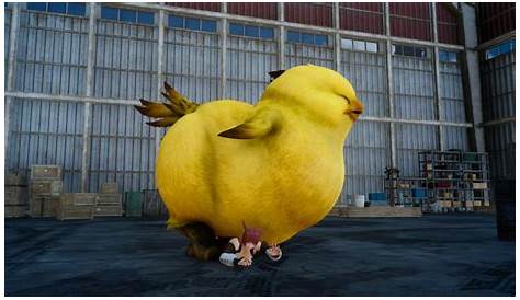 Chubby Chocobo How To Get The Fat Mount In Final Fantasy XIV