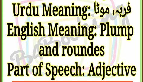 Chubby Meaning Urdu In And English Pronunciation