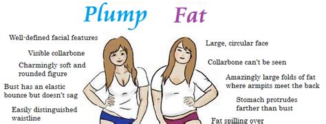 chubby meaning in tamil with example
