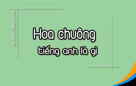 chuong tieng anh la gi