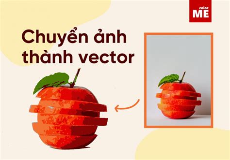 chuyển ảnh thành vector trong ai