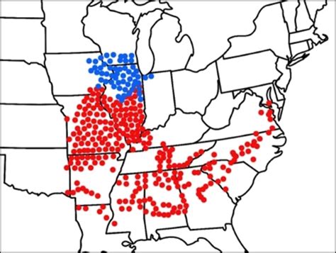 cicada map 2024 north carolina