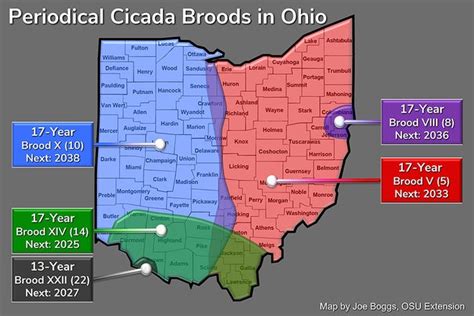 cicada map 2025