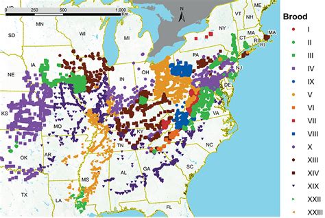 cicadas 2024 florida map