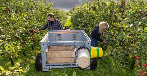 Cider Makers in Tyssedal