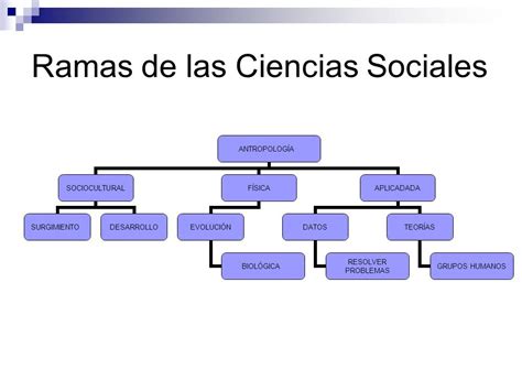 CIENCIAS SOCIALES RAMAS DISCIPLINARES