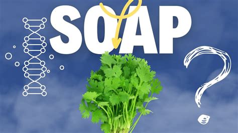 Cilantro Gene Taste Like Soap