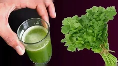 Cilantro Good For Thyroid