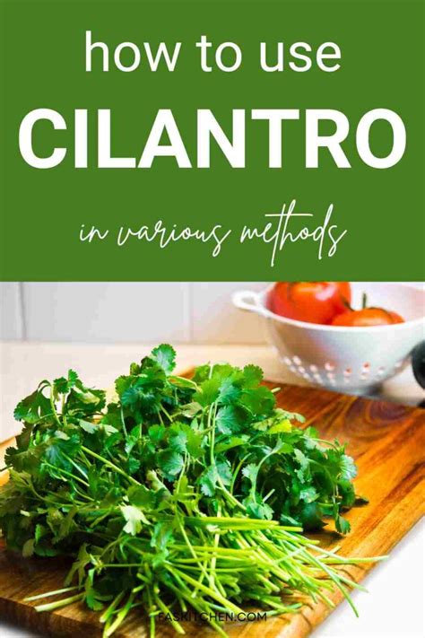 Cilantro How To Use It