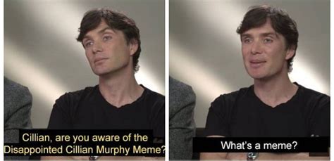 cillian murphy not knowing meme