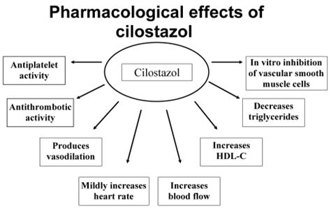 Understanding Cilostazol Side Effects: What You Need to Know