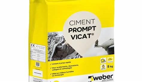 SADER Ciment Prompt Vicat Prise rapide Sader 5kg à 7,90