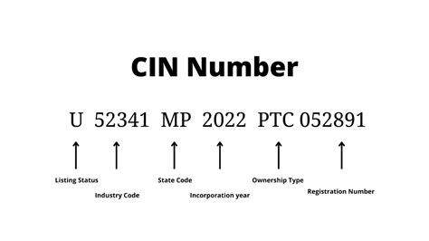 cin number meaning medical