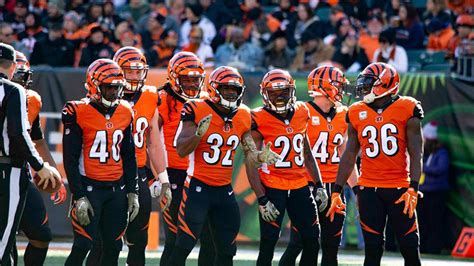 cincinnati bengals roster 2009