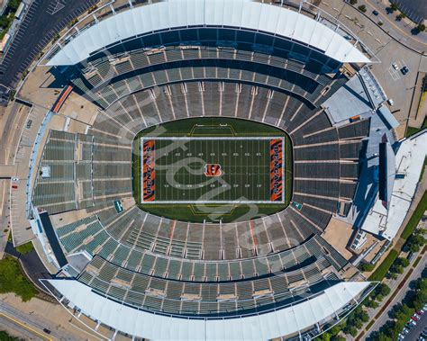 cincinnati bengals stadium address