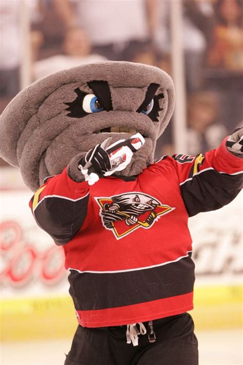 cincinnati hockey team mascot